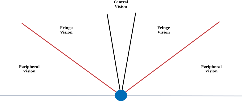 Diagram of three vision