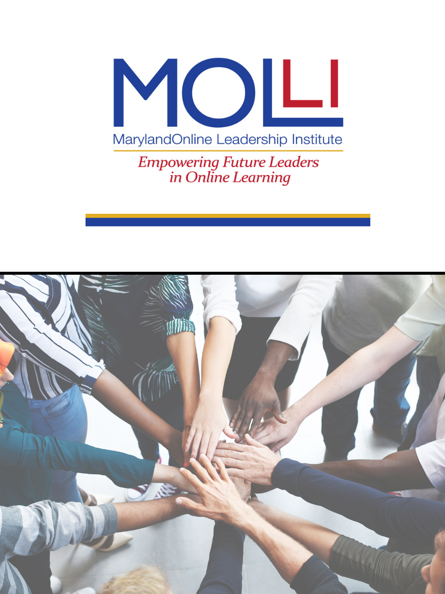Cover image for MarylandOnline Leadership Institute