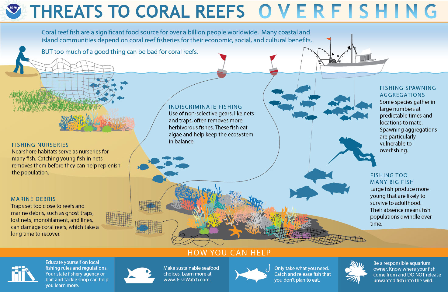 Infographic that describes how overfishing destroys coral reefs using imagery of fishing boats, sea life, and reefs coupled with informational paragraphs.