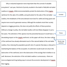 Writing Essays – Mindful Technical Writing