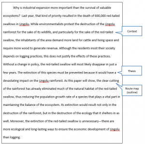 Writing Essays – Mindful Technical Writing