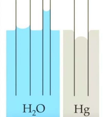 Microfluidics – Micro- and Biofluidics