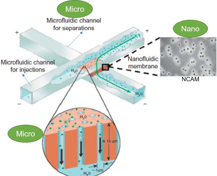 Figure 5.8 Conceptual schematic for rapid injection between micro-channels using molecular gates