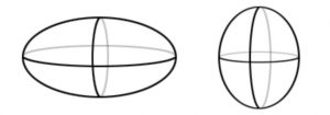 The image illustrates two types of ellipsoids, which are 3D geometric figures with elliptical shapes. An ellipsoid is akin to a stretched sphere, and any plane cutting through it forms an ellipse. In the figure, the ellipsoid on the left represents an oblate spheroid, characterized by a flattened shape, while the one on the right is a prolate spheroid, exhibiting an elongated form. Examples of ellipsoids in real life include an egg or a blimp. The Earth itself can be accurately modeled as a type of ellipsoid, reflecting its slightly flattened shape at the poles (oblate spheroid).
