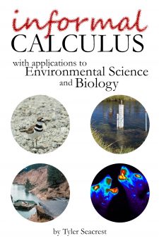Informal Calculus book cover