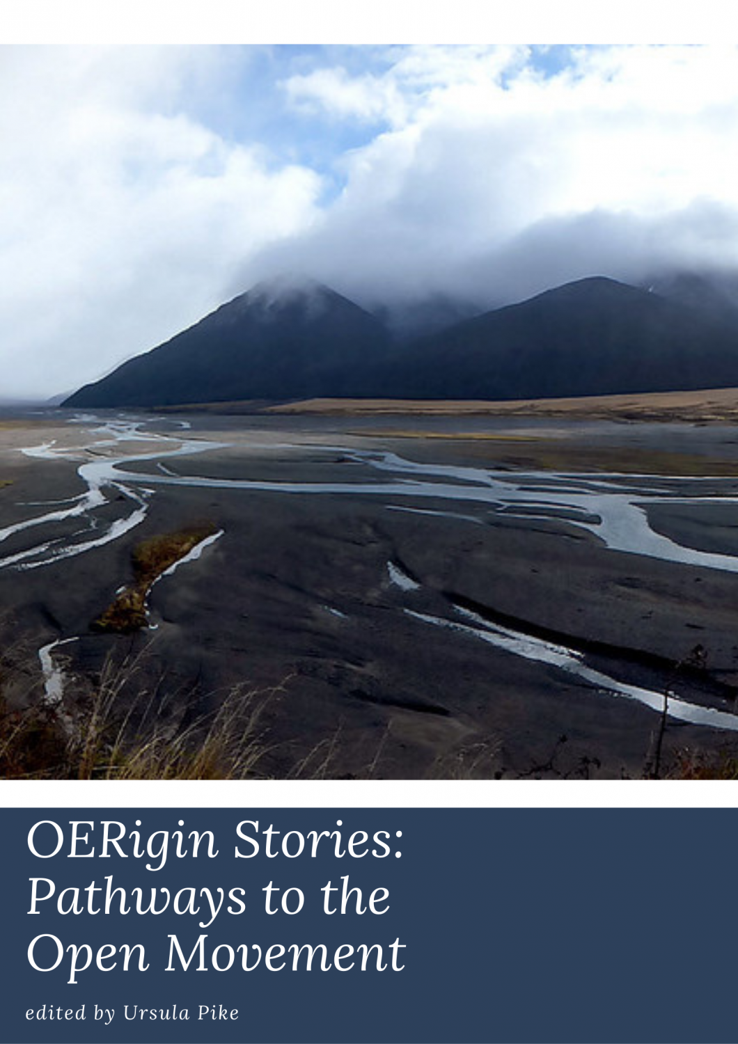 Cover image for OERigin Stories