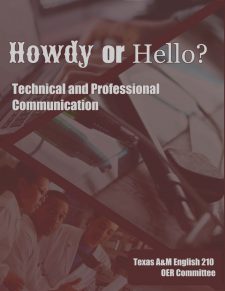 Howdy or Hello? Technical and Professional Communication book cover