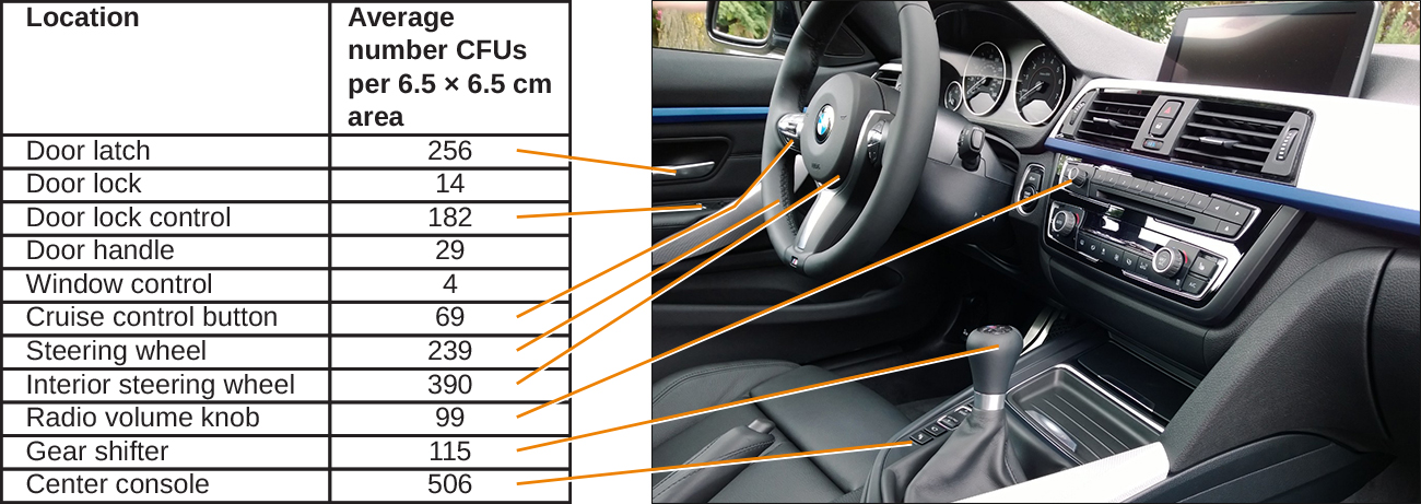 Photograph of car's dashboard and steering wheel with microbial cell counts on various areas
