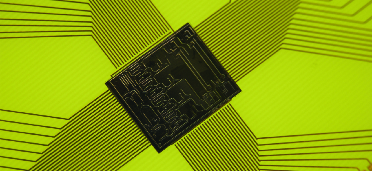 Picture of a computer chip as a representation of how immunological assays can be miniaturized.