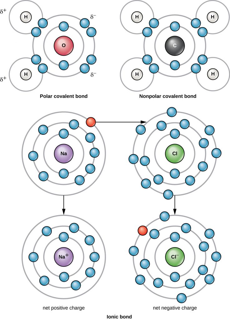 Diagrams depicting the polar covalent bond of a water molecule, the nonpolar covalent bonds  of methane and and the ionic bonds of sodium chloride.