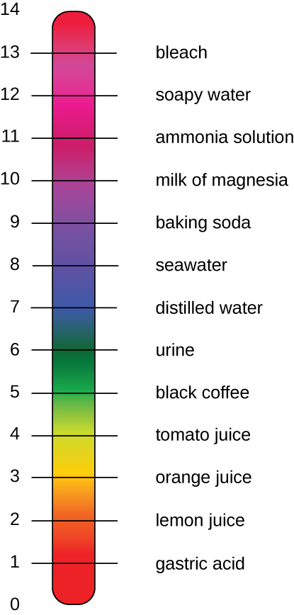 A diagram of the pH scale.