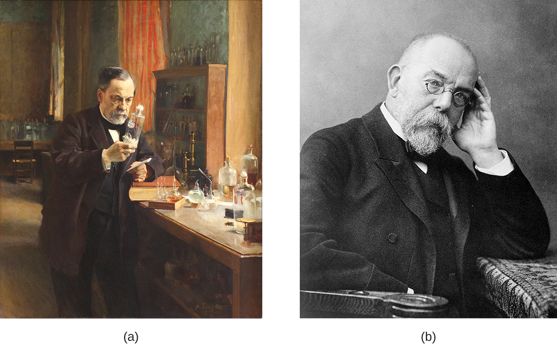 Panel a is a photo of Louis Pasteur, credited with numerous innovations that advanced the fields of microbiology and immunology. Panel b depicts Robert Koch, a man who identified the bacterial causes of anthrax, cholera, and tuberculosis.