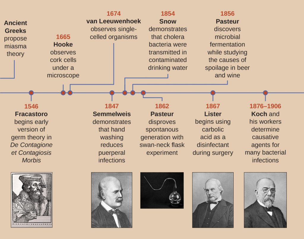 A timeline of the development of the field of microbiology.