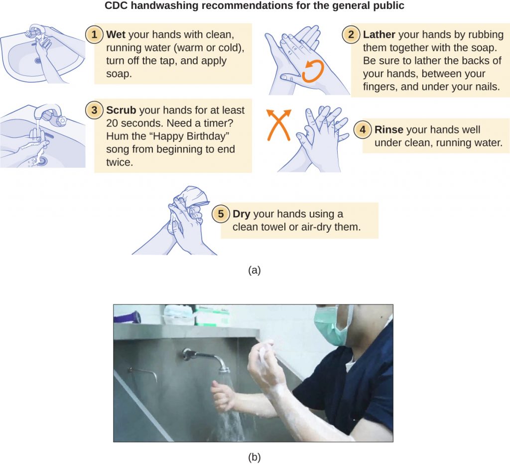 The CDC infographic for handwashing and a photograph of the more rigorous process of surgical scrubbing.