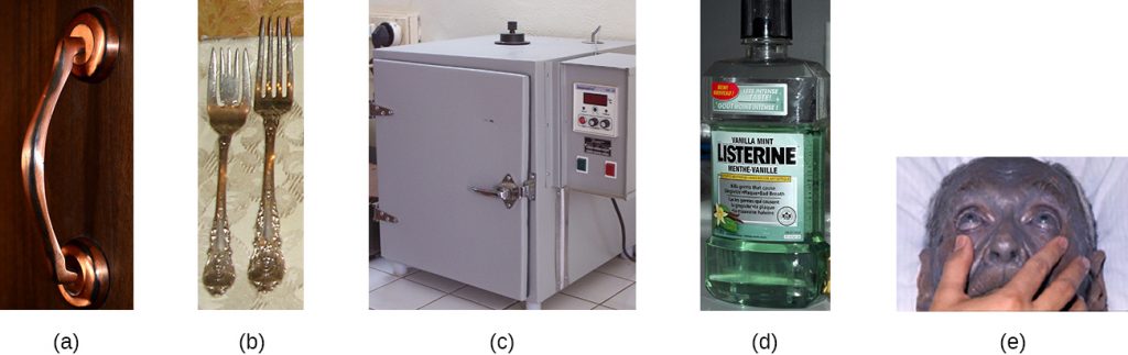a) photo of a copper door handle. B) Picture of silver forks. C) Picture of an incubator d) picture of Listerine mouthwash. E) Picture of a person with grey skin.