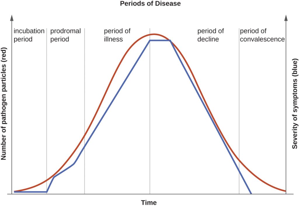 A graph depicting the 5 periods of infectious disease, beginning with the incubation period.
