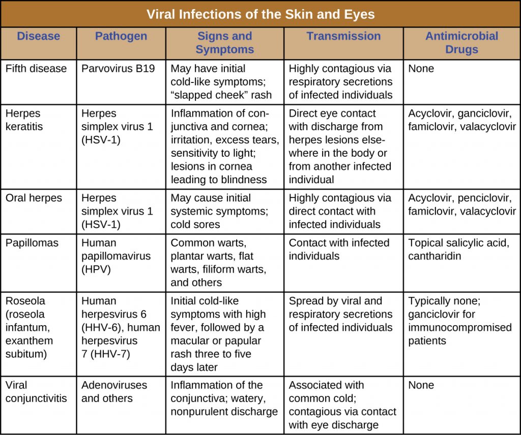 Table summarizing the causes of viral infections of the skin and eyes, including signs and symptoms, transmission and treatment