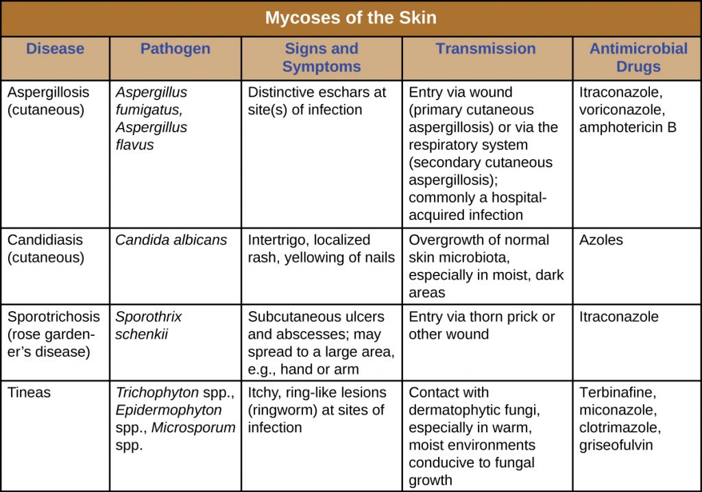 Table summarizing mycoses of the skin - their causes, signs and symptoms, transmission and treatment