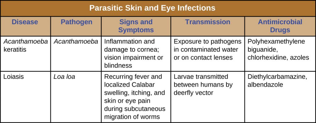 Table titled: Parasitic Skin and Eye Infections. Columns: Disease, Pathogen, Signs and Symptoms, Transmission, Antimicrobial Drugs. Acanthamoeba keratis, Acanthamoeba, Inflammation and damage to cornea; vision impairment or blindness, Exposure to pathogens in contaminated water or on contact lenses, Polyhexamethylene biguanide, chlorhexidine, azoles.