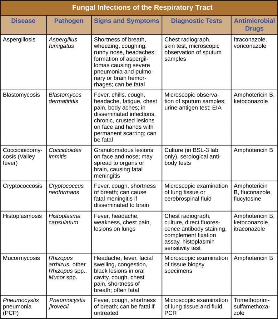Table summarizing fungal infections of the respiratory tract including the causative agent, signs and symptoms, diagnostic tests and treatment