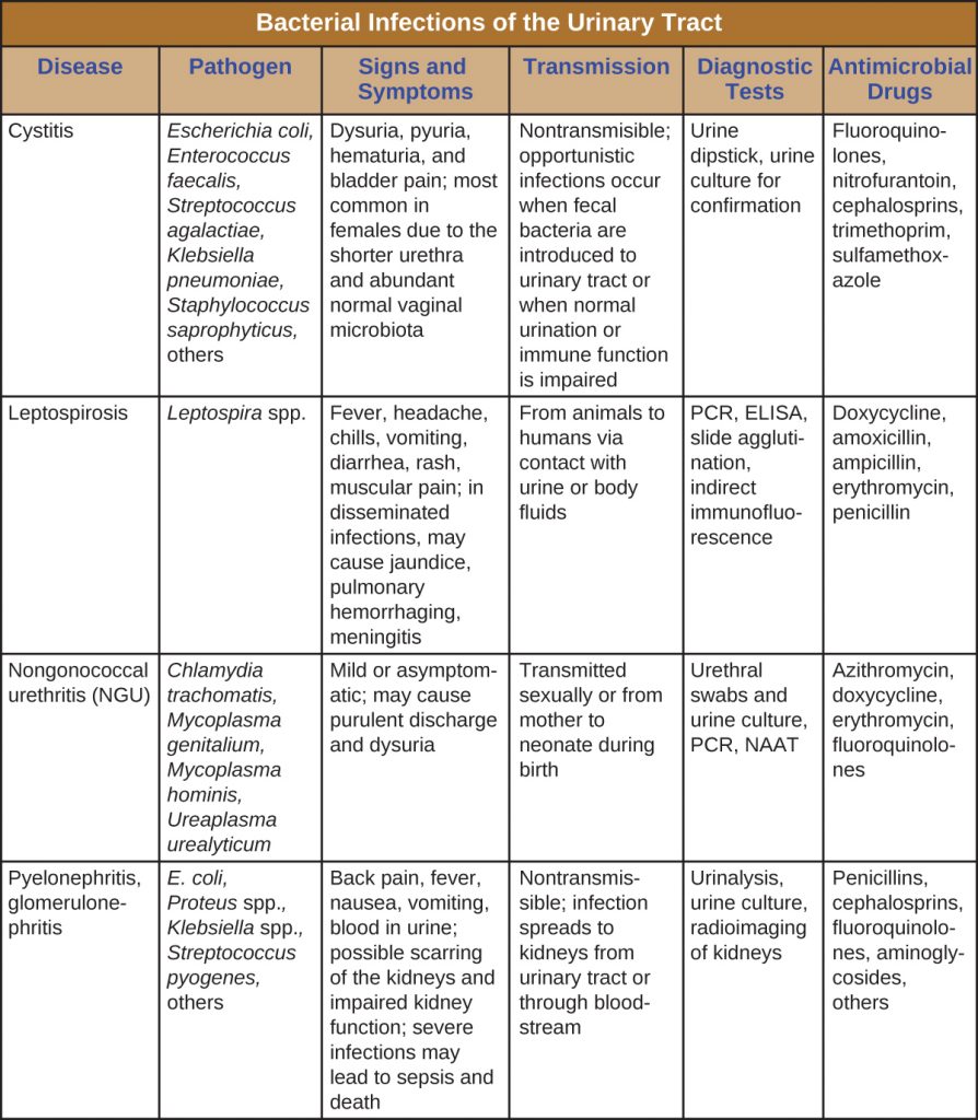 Table summarizing the causes of bacterial infections of the urinary tract, their signs and symptoms, mode of transmission, diagnostic tests and treatment