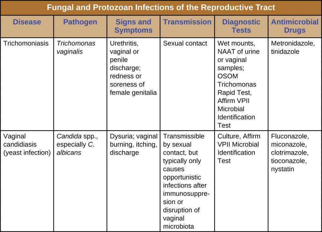 Table summarizing fungal and protozoal infections of the reproductive tract, including signs and symptoms, mode of transmission, diagnostic tests and treatment