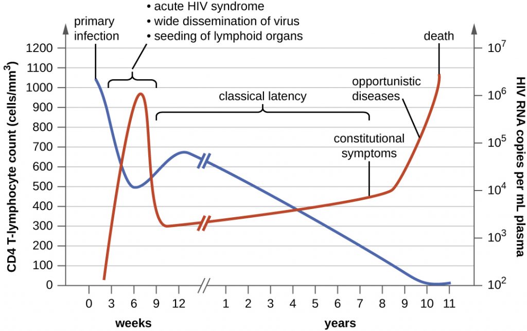 A graph depicting the clinical progression of CD4 T cells, clinical symptoms, and viral RNA during an HIV infection.