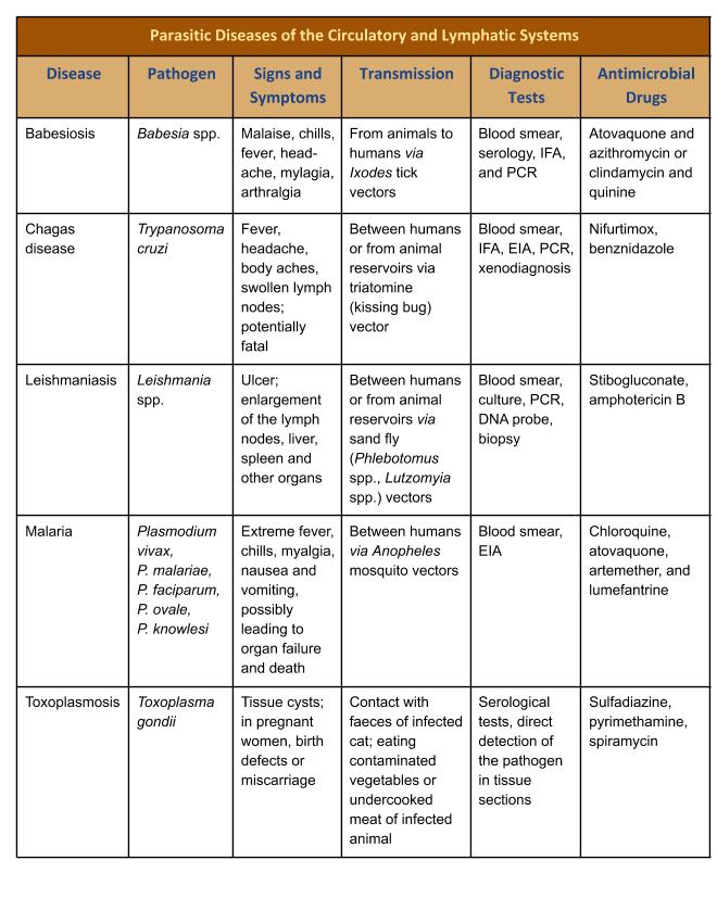 Table summarizing parasitic infections of the circulatory and lymphatic systems including signs and symptoms, modes of transmission, diagnostic tests and treatment