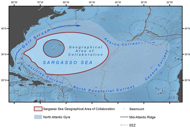 A map depicting the Sargasso Sea and the four separate currents that define it.