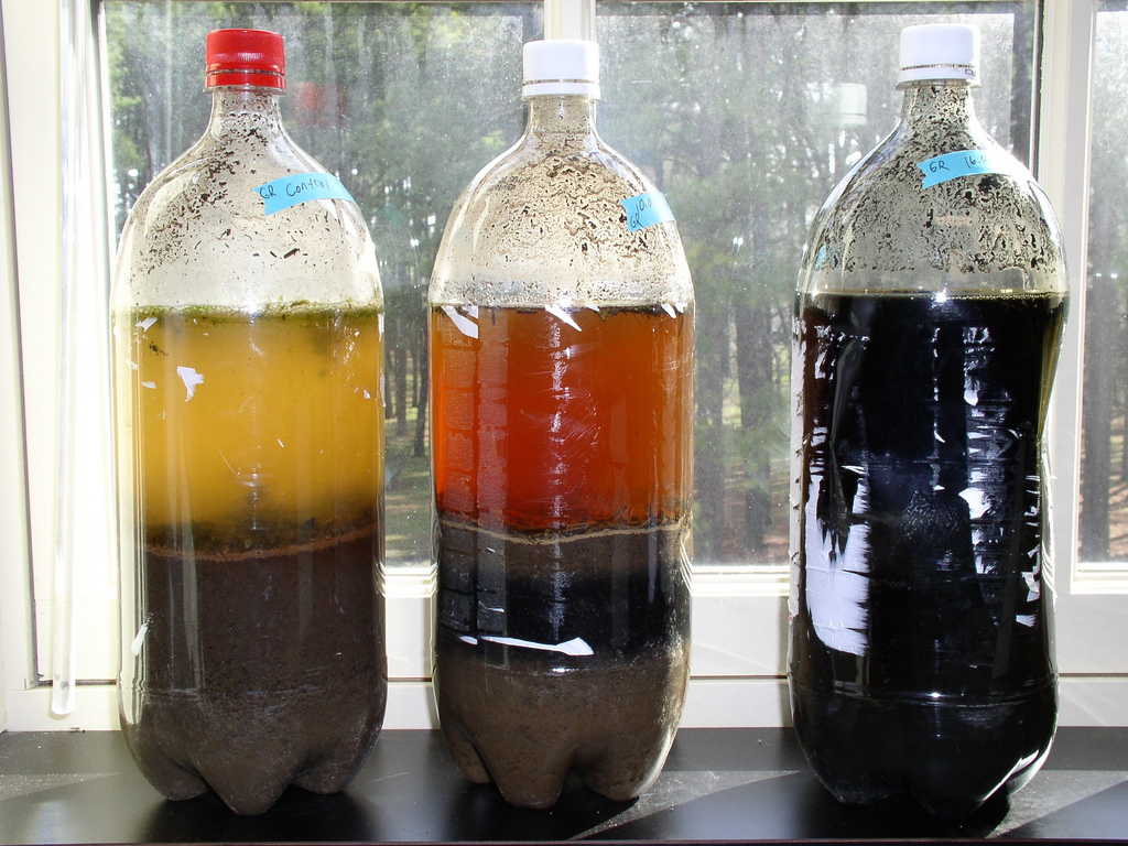 Three different-looking Winogradsky columns including one called a sulphuretum that contains sulphate-reducing bacteria and black ferrous sulphide