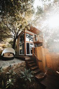 timber tiny house surrounded by trees
