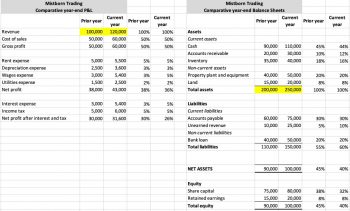 Horizontal and vertical analysis – Accounting and Accountability