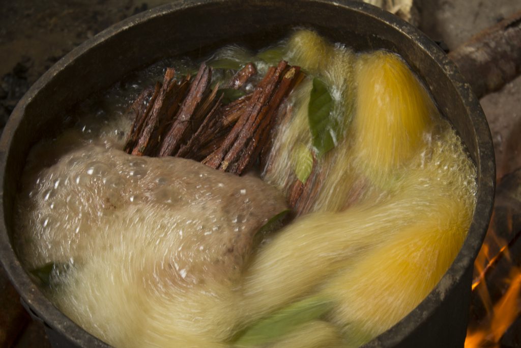 Preparation of ayahuasca in a pot