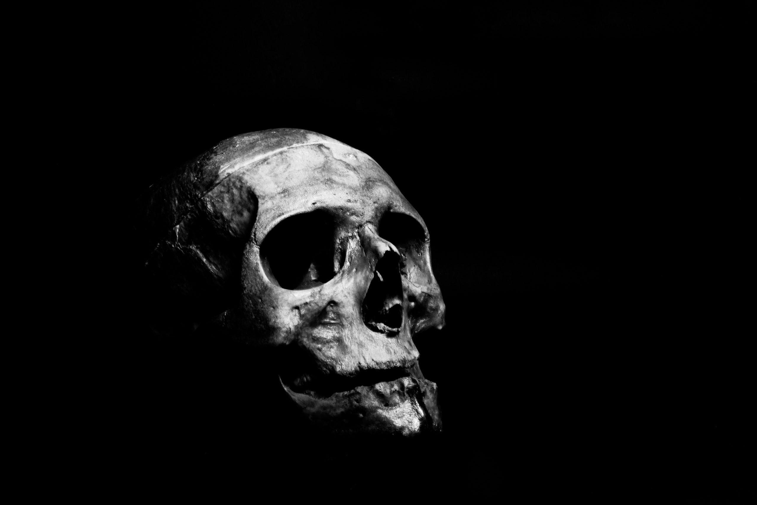 Image of a human skull against black background