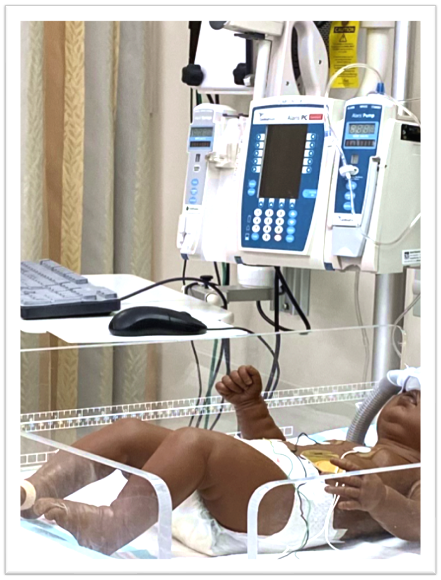 Cover image for Neonatal Intensive Care Virtual Gaming Simulation